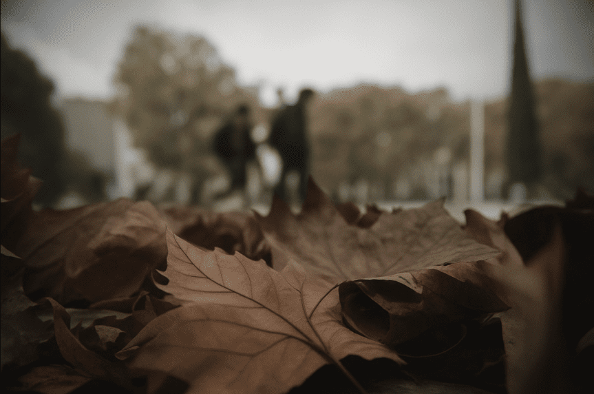 Hojas secas en otoño sobre el suelo en un paisaje urbano con personas de fondo desenfocadas