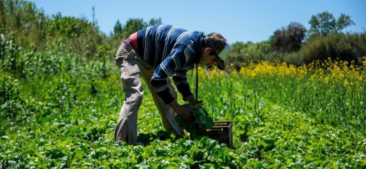 122641773_175942414181702_8417453501072342532_n