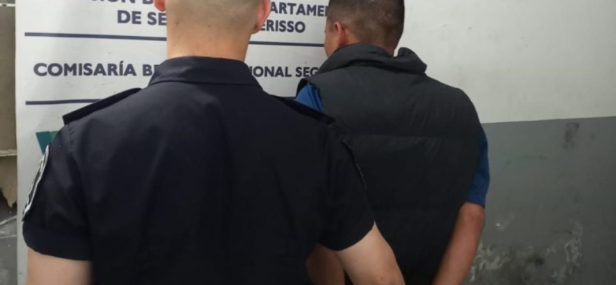 14772999-ecd1-4cdb-8a31-991facfc815e