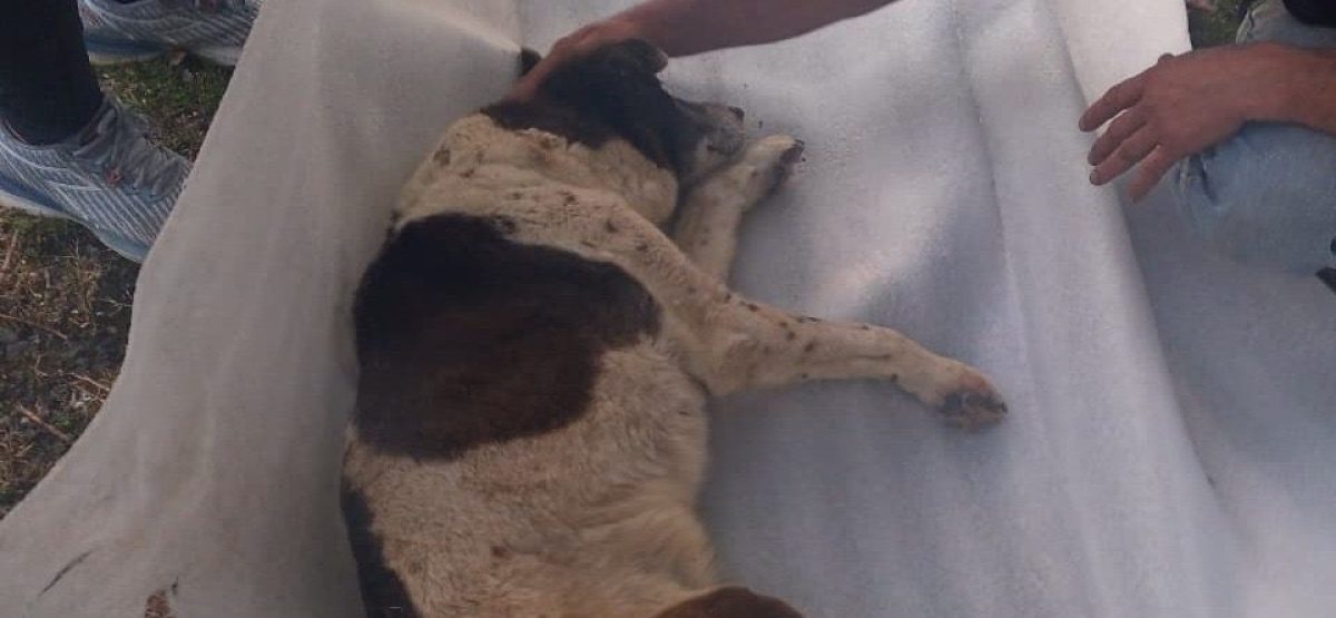 251d575c-16d2-4cb7-aa28-d02c21a58b88