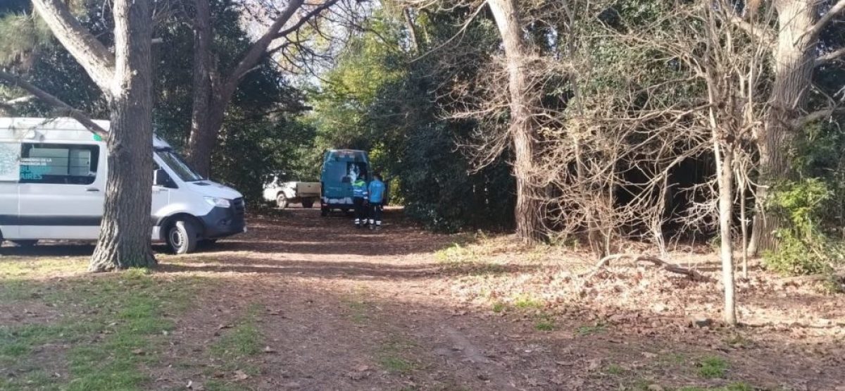 29c1cd3a-cf6b-4e08-82b6-5bb34daf1223