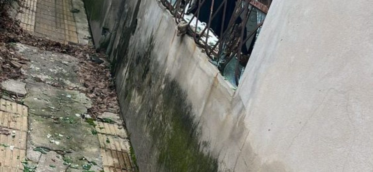 465ceb18-9860-43bc-897a-fe7012a4b173