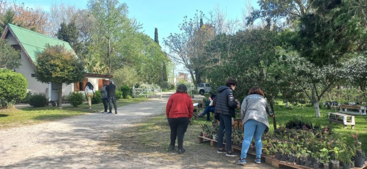 480556617_925197303157147_1707712621220916974_n