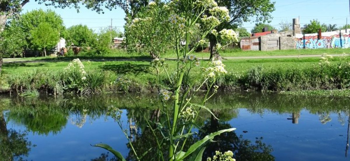 569760925_3781940715283899_3272199888763031902_n 569760925_3781940715283899_3272199888763031902_n