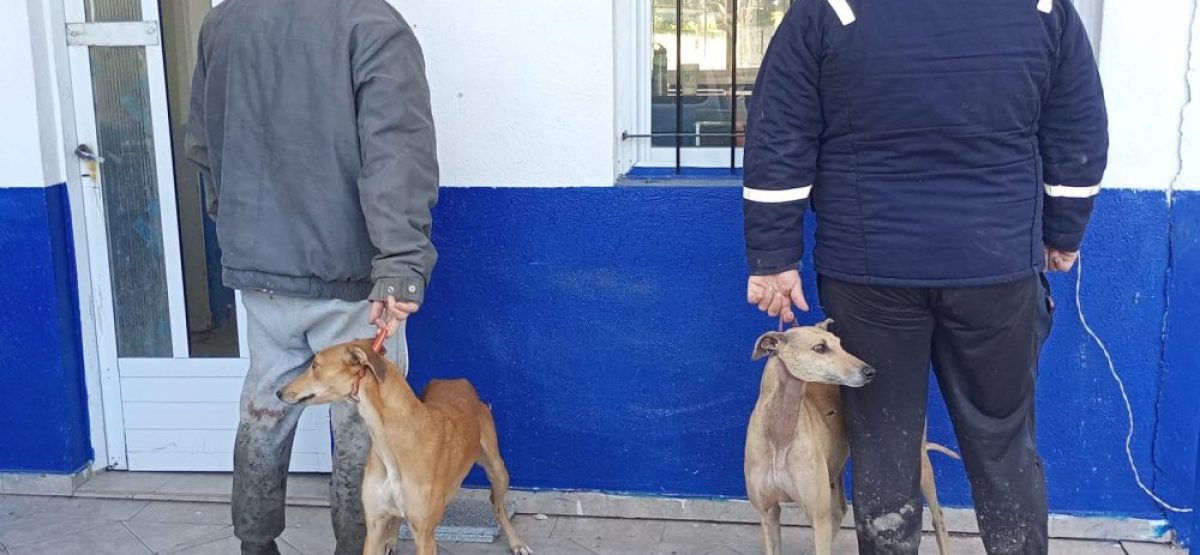 887e4bc6-b66d-40d1-bc86-57b13f104a07