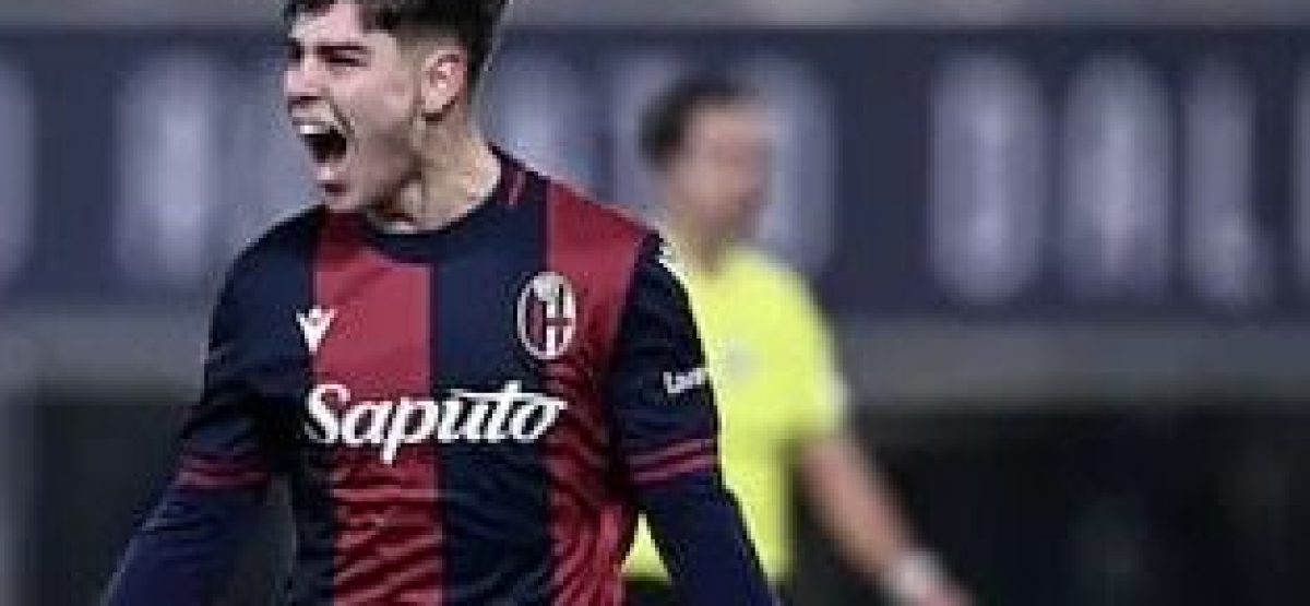 8a2449aa-20eb-4375-b731-5aeb5141cb42