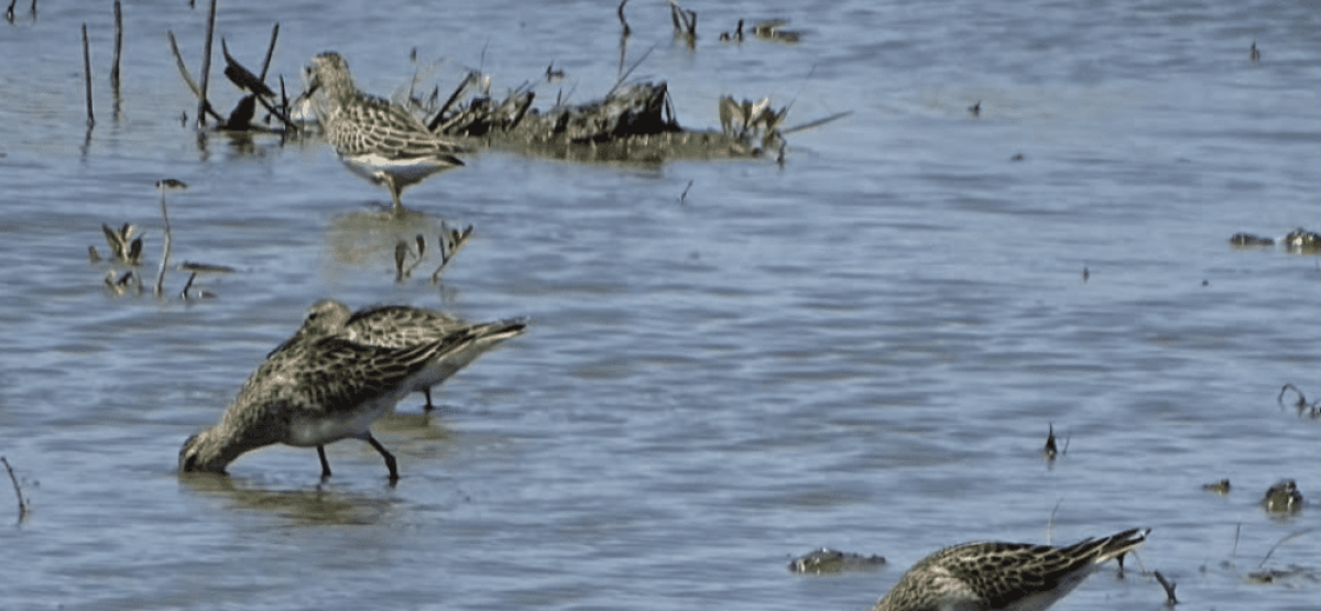 Captura de pantalla 2025-11-10 a la(s) 14.53.23