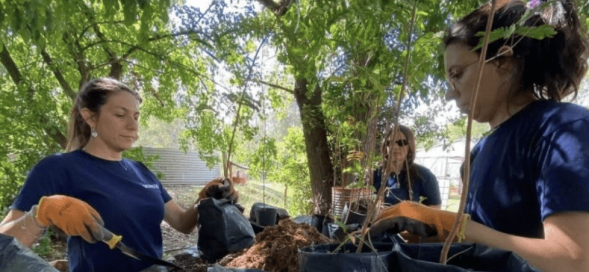 Captura de pantalla 2026-02-12 a la(s) 12.23.39