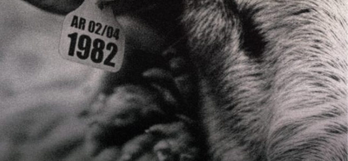 LVDS_Afiche_rgb-1080x675