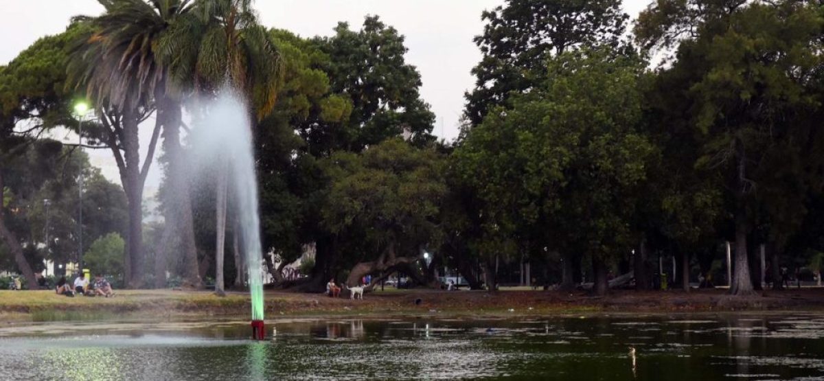 WhatsApp Image 2024-02-26 at 12.39.45