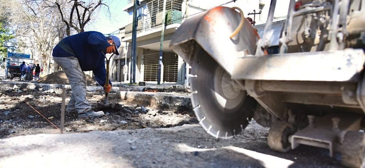 WhatsApp Image 2025-01-24 at 10.19.37