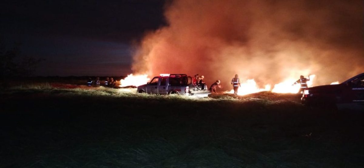 WhatsApp Image 2025-01-26 at 14.32.51