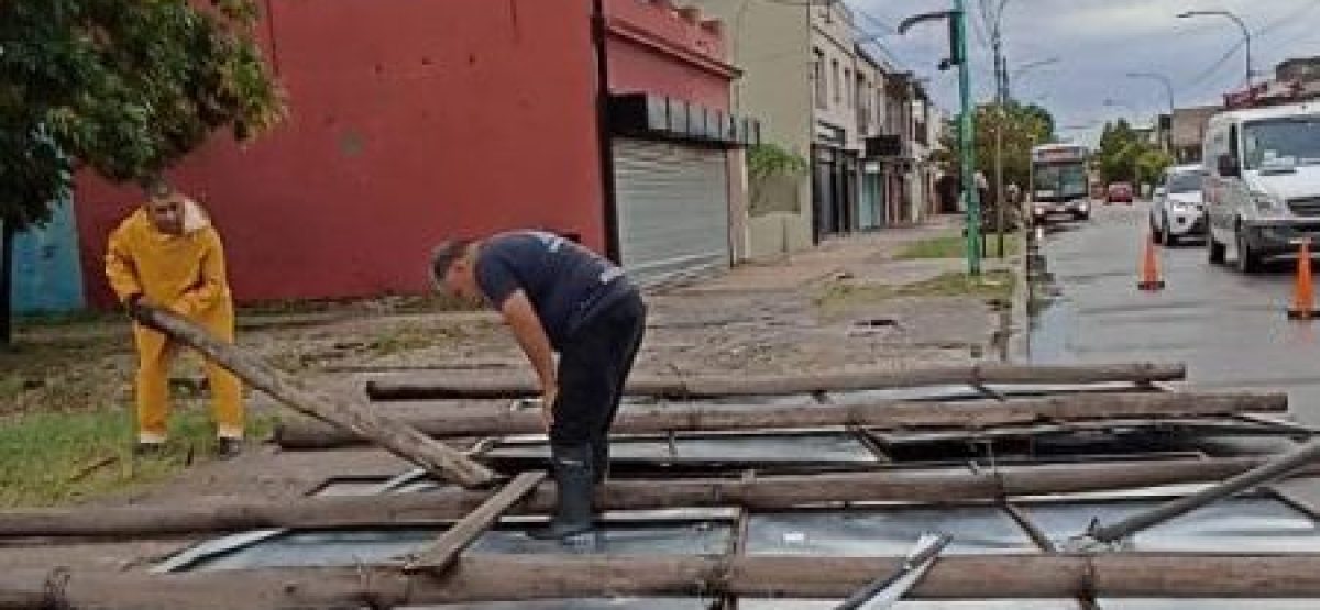 WhatsApp Image 2025-02-11 at 11.24.58