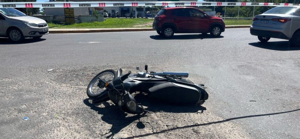 WhatsApp Image 2025-03-11 at 11.52.07