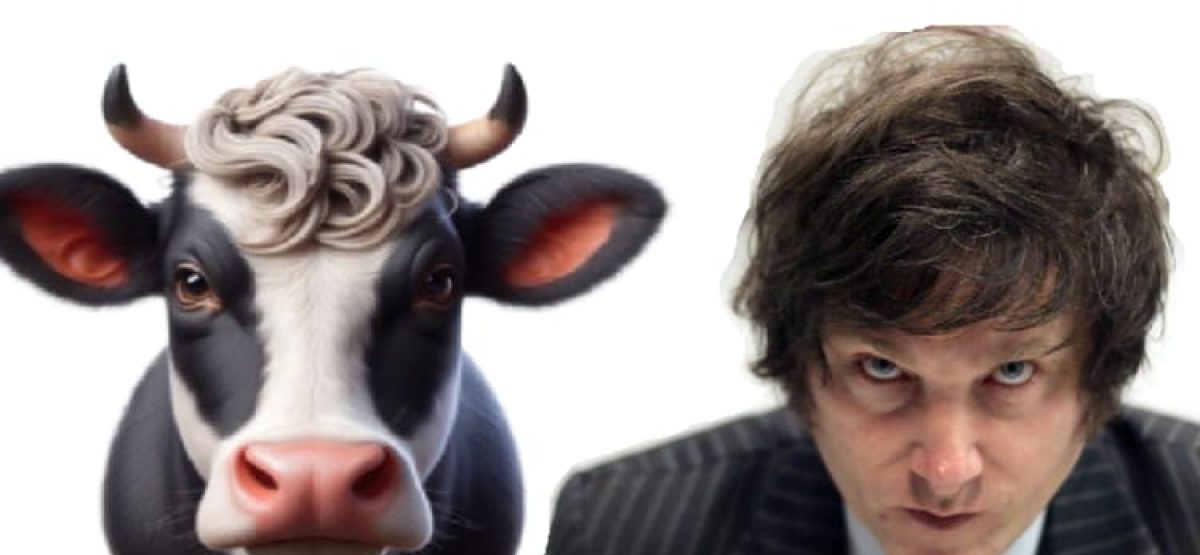 WhatsApp Image 2025-03-22 at 13.37.17 WhatsApp Image 2025-03-22 at 13.37.17