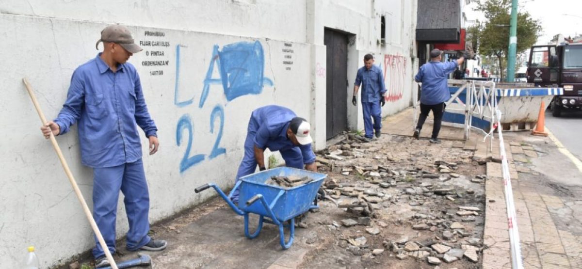 WhatsApp Image 2025-04-08 at 10.35.38 (1)