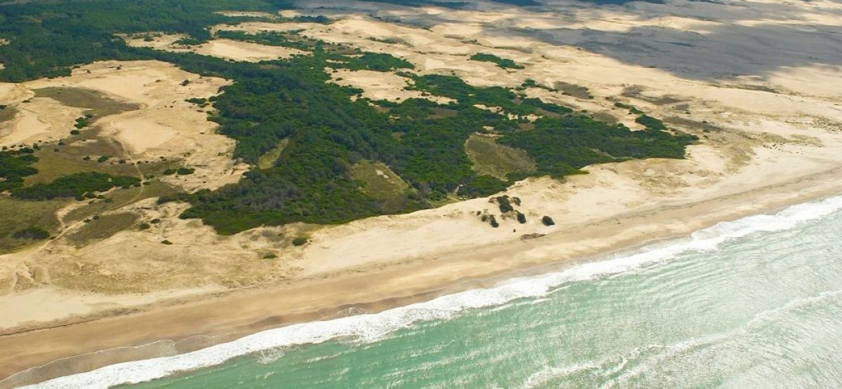 WhatsApp Image 2025-04-10 at 17.07.03