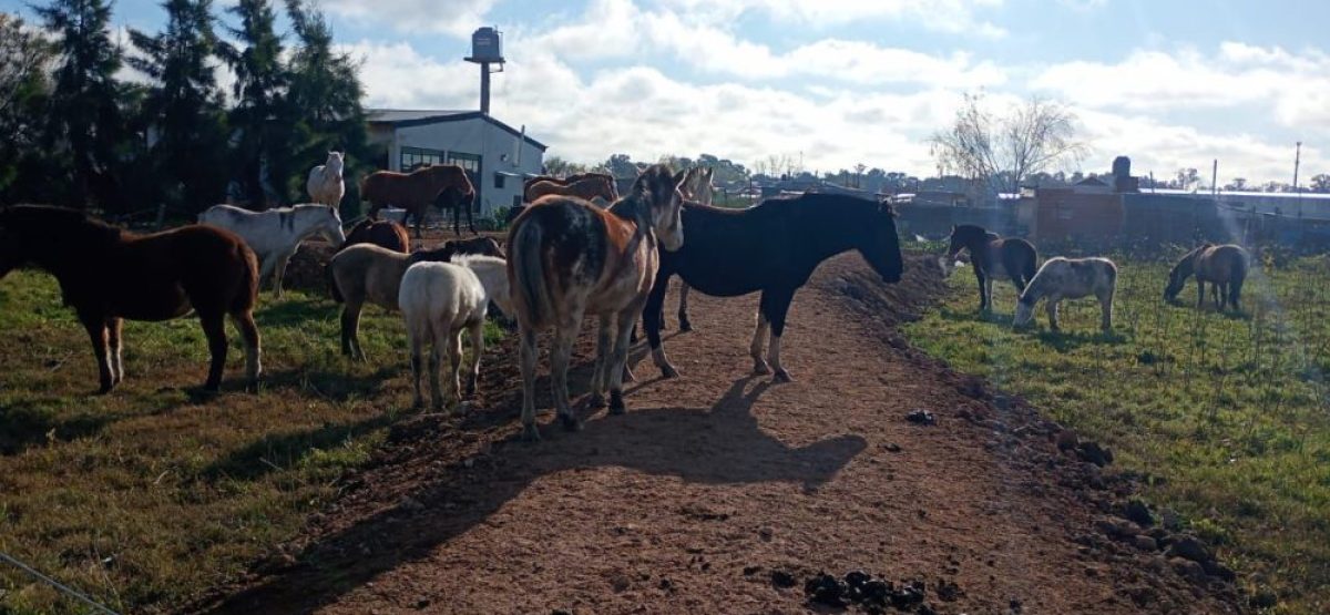 WhatsApp Image 2025-07-02 at 12.47.21