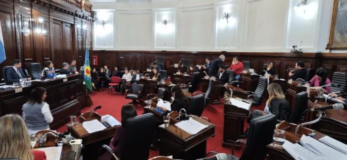 WhatsApp Image 2025-07-12 at 10.32.04