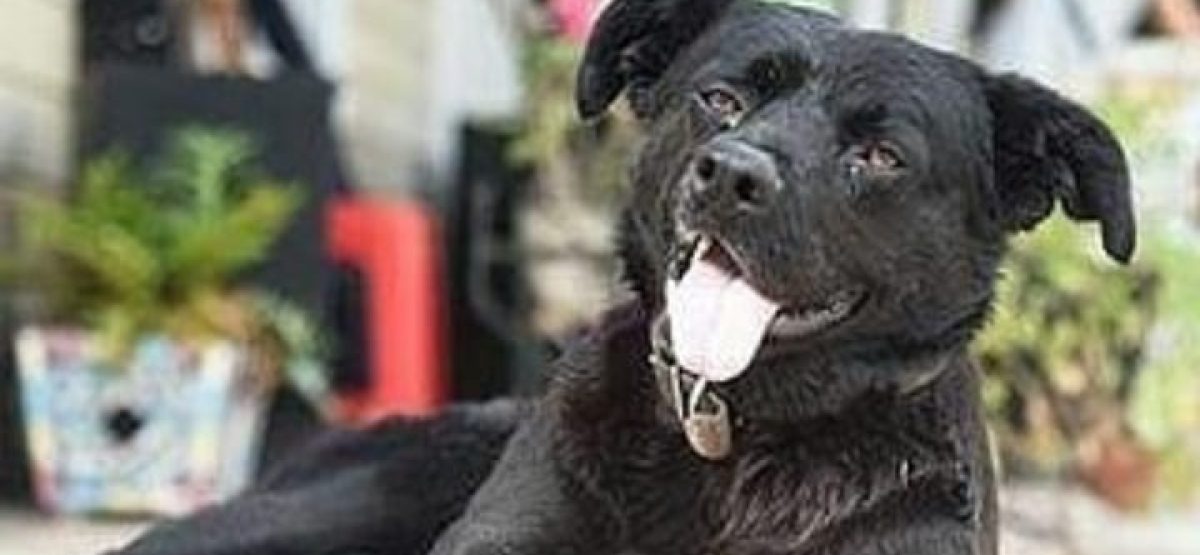 WhatsApp Image 2025-07-28 at 15.14.31