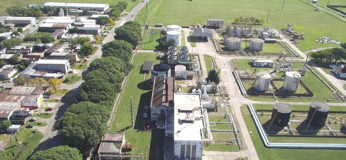 WhatsApp Image 2025-08-08 at 13.02.44