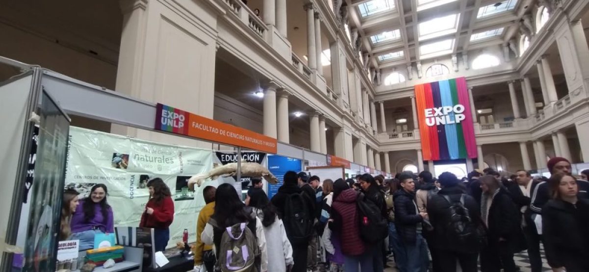 WhatsApp Image 2025-08-13 at 11.02.12