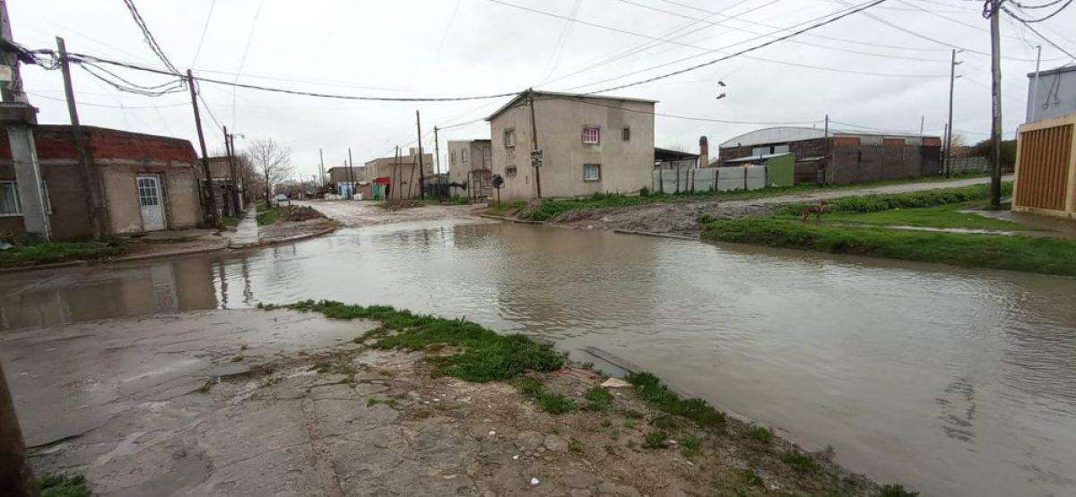 WhatsApp Image 2025-08-20 at 12.29.21