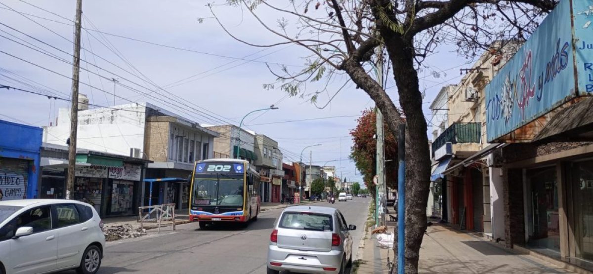 WhatsApp Image 2025-10-15 at 14.00.03