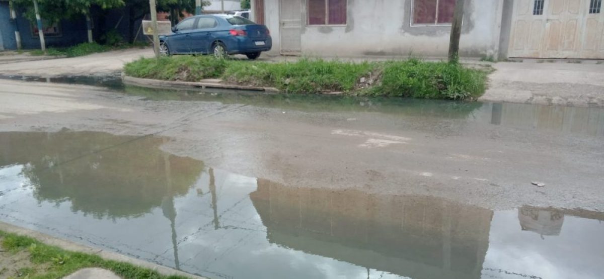 WhatsApp Image 2025-11-06 at 15.32.57