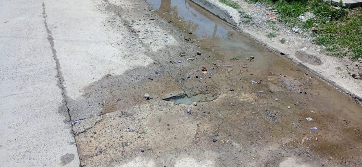 WhatsApp Image 2025-11-19 at 14.39.13