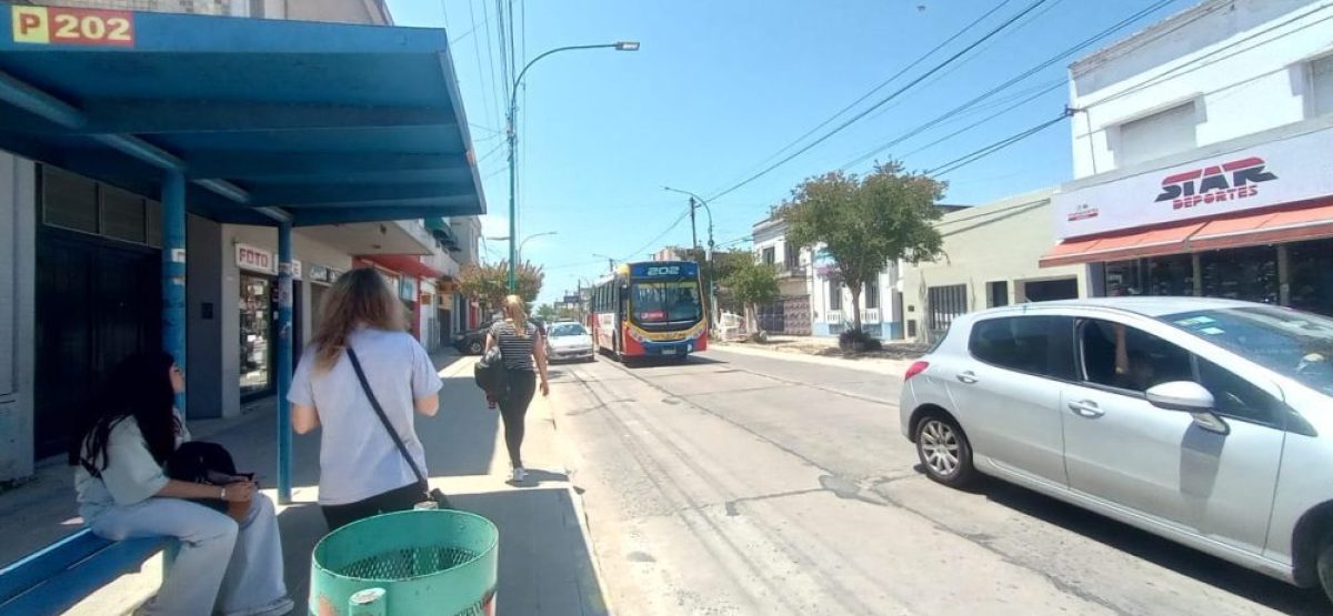 WhatsApp Image 2025-12-03 at 12.03.42