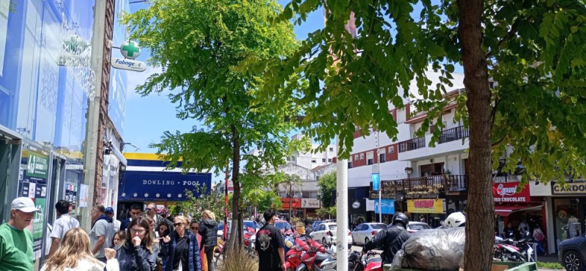 WhatsApp Image 2026-01-07 at 13.50.28