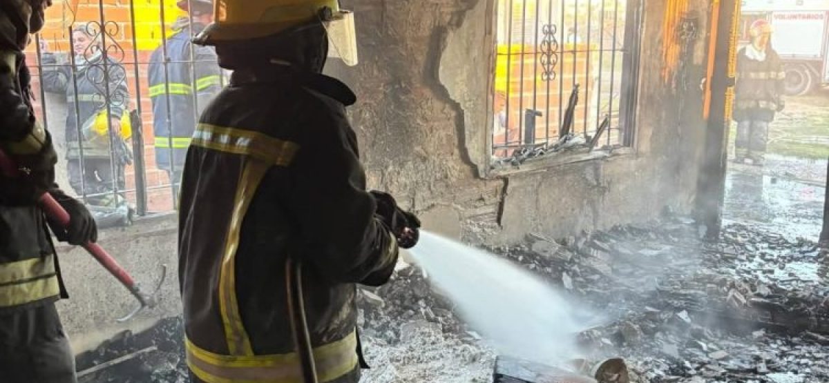 WhatsApp Image 2026-01-17 at 12.48.03