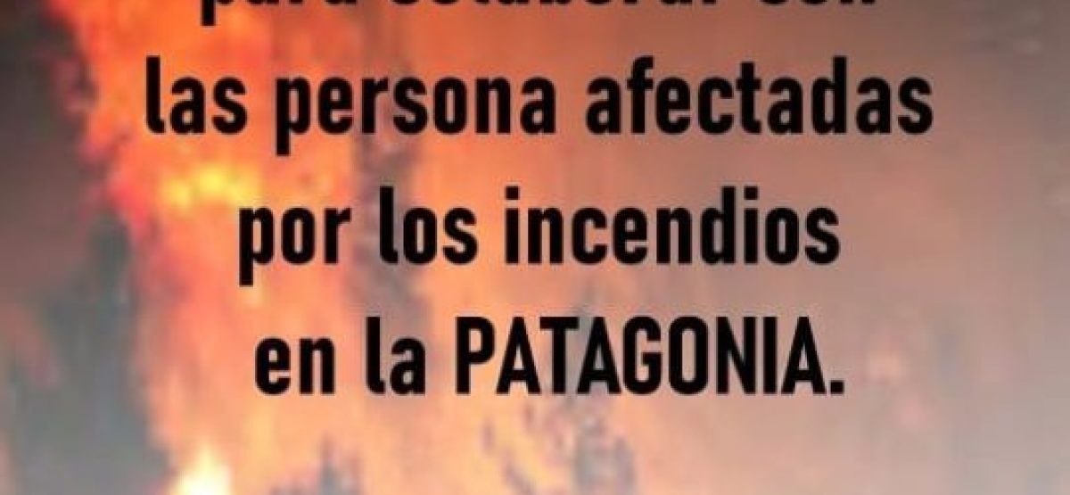 WhatsApp Image 2026-01-20 at 20.31.24