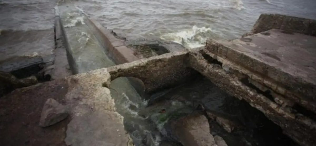 WhatsApp Image 2026-01-21 at 16.51.19