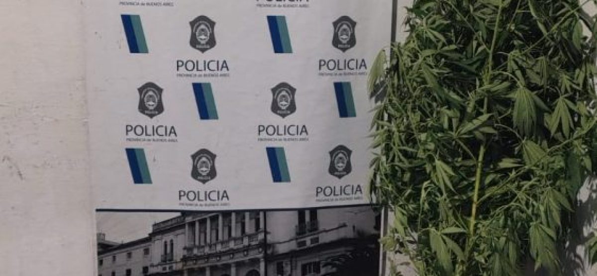 WhatsApp Image 2026-01-22 at 14.23.13