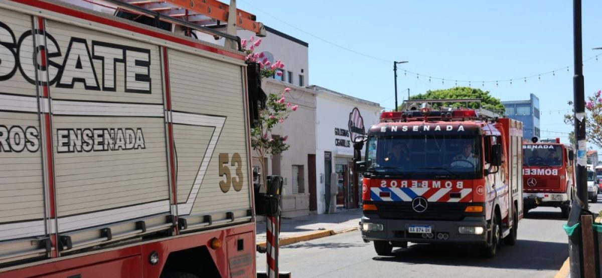 WhatsApp Image 2026-01-23 at 14.40.20 (1)