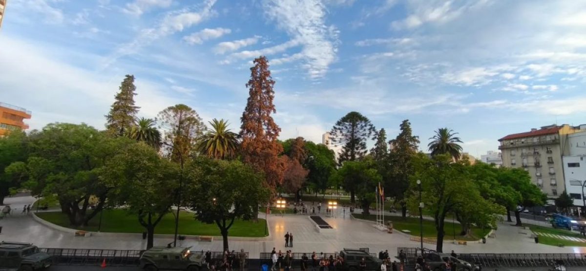 WhatsApp Image 2026-01-26 at 09.40.33