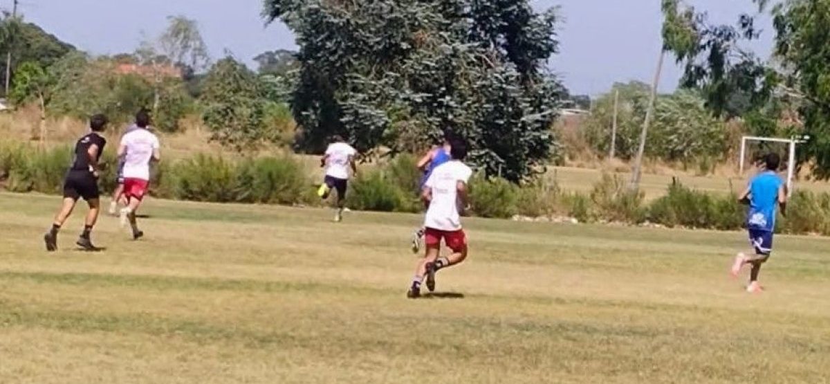 WhatsApp Image 2026-01-26 at 15.21.44