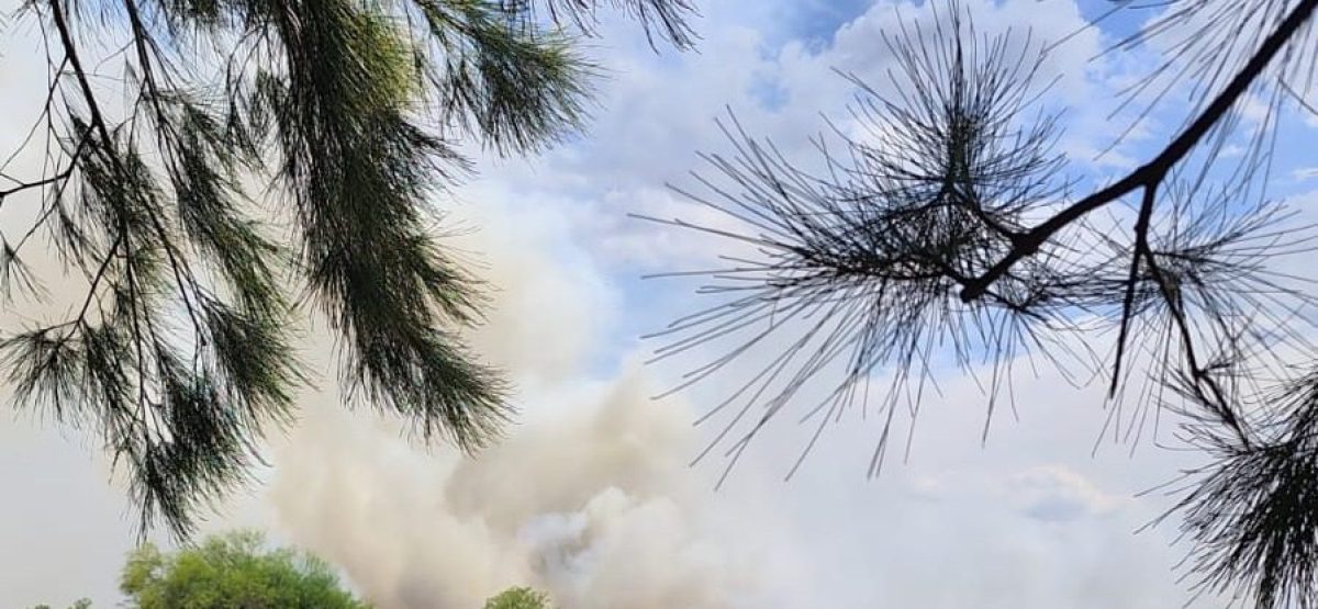 WhatsApp Image 2026-01-26 at 16.06.13