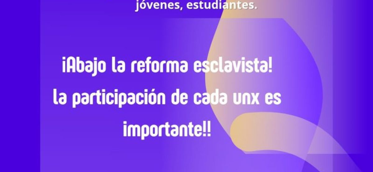 WhatsApp Image 2026-01-26 at 16.50.40