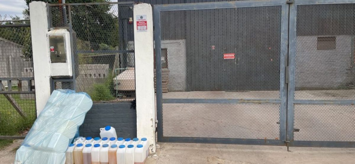 WhatsApp Image 2026-02-12 at 09.25.29