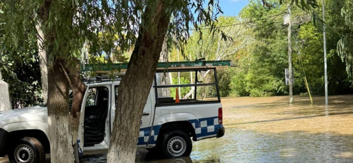 WhatsApp Image 2026-02-25 at 14.13.45