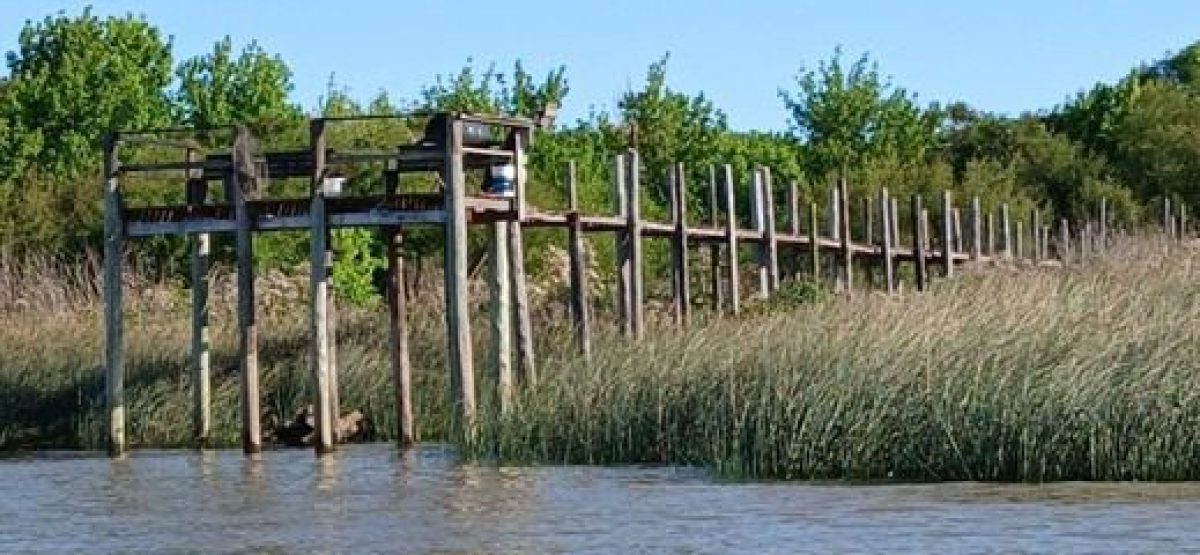 WhatsApp Image 2026-02-26 at 13.11.34