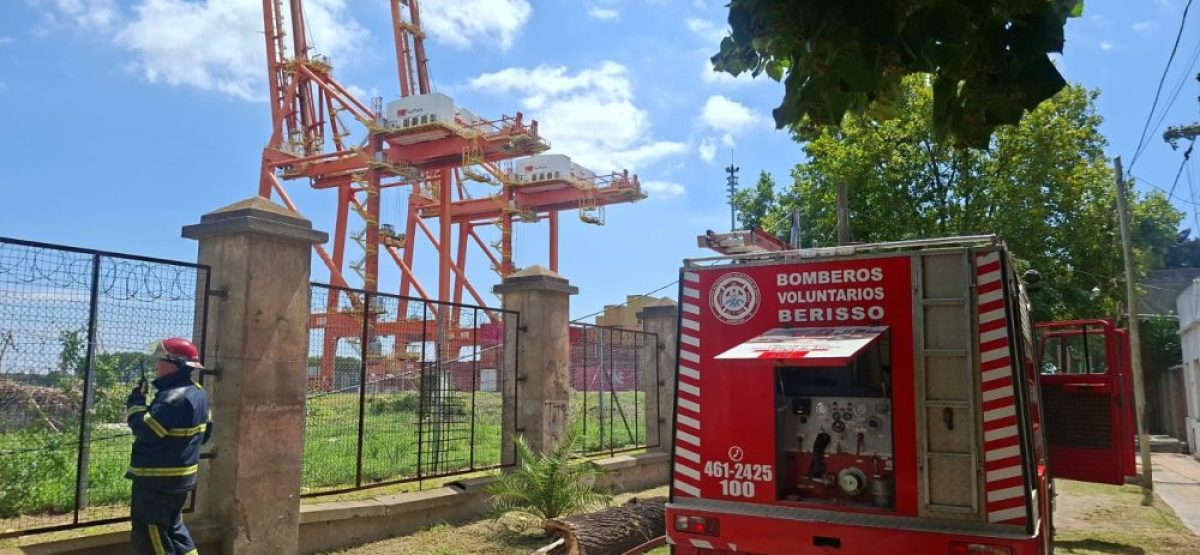 WhatsApp Image 2026-02-26 at 13.44.45