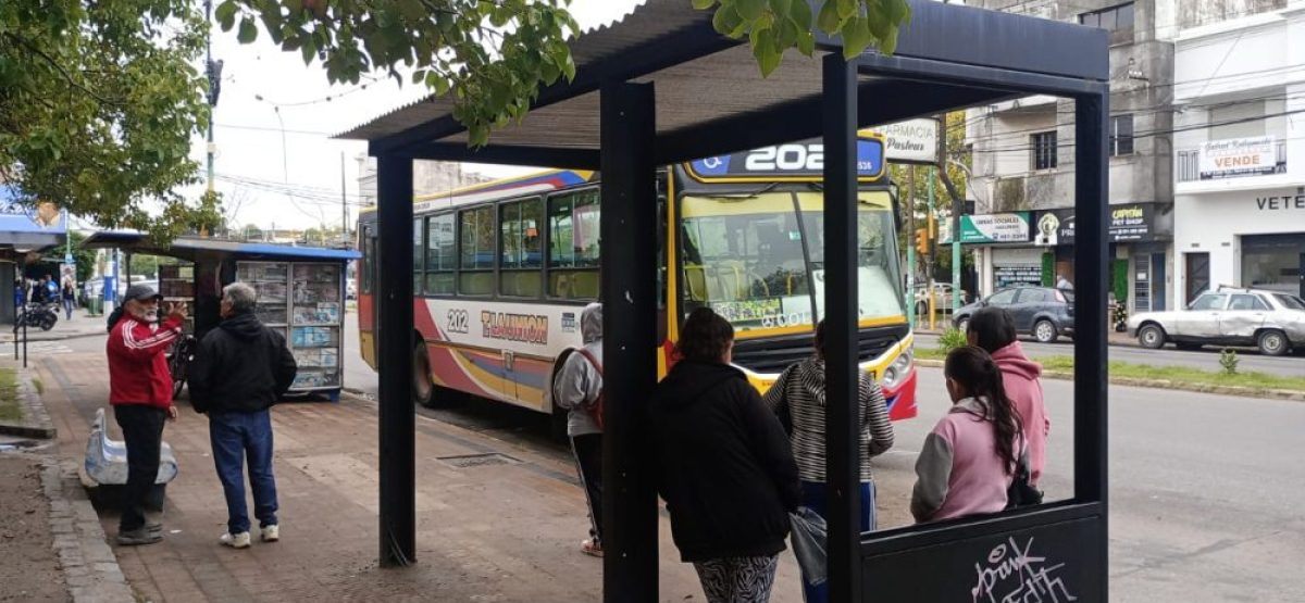 WhatsApp Image 2026-04-08 at 10.31.02