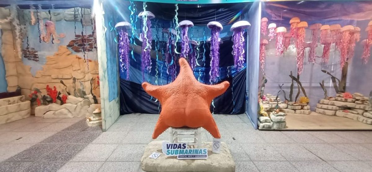 WhatsApp Image 2026-04-17 at 16.24.05