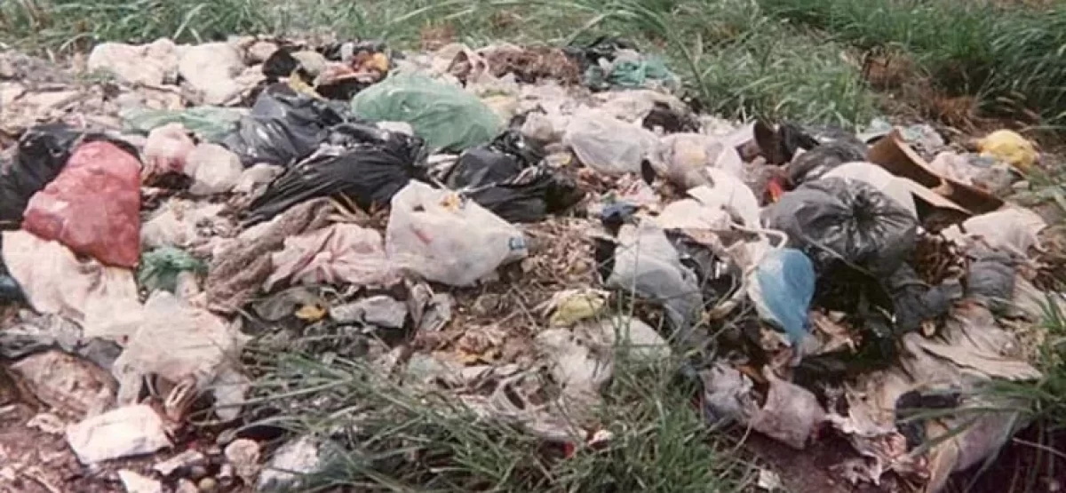 basurales_2928.jpg basurales_2928.jpg