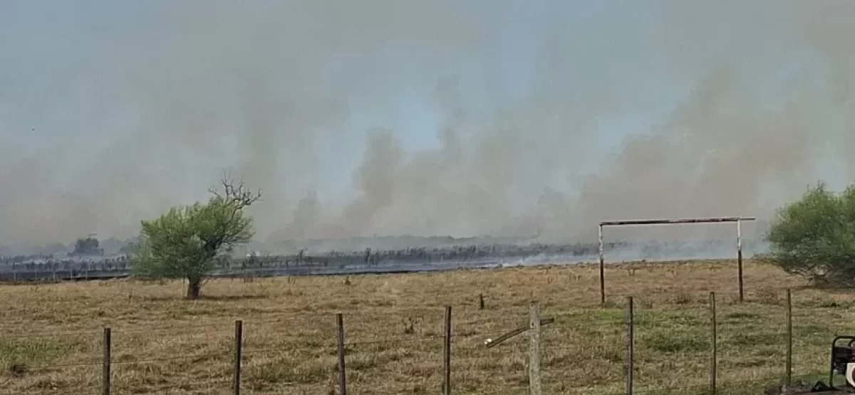 bbx_53590994ac5823844fad35d951f3509e