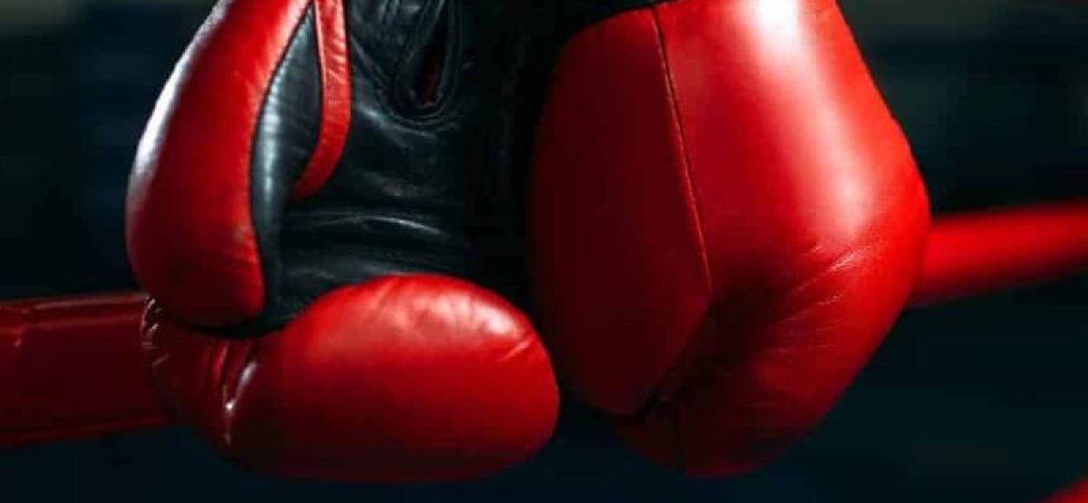 boxeo web